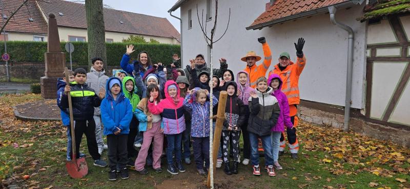 Bampflanzchallenge04a16744 78b5 4de1 9130 15a6bde79ce5