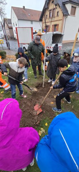 Bampflanzchallenge6d9bd2ec d41b 47a5 9e18 2ab9100df59e