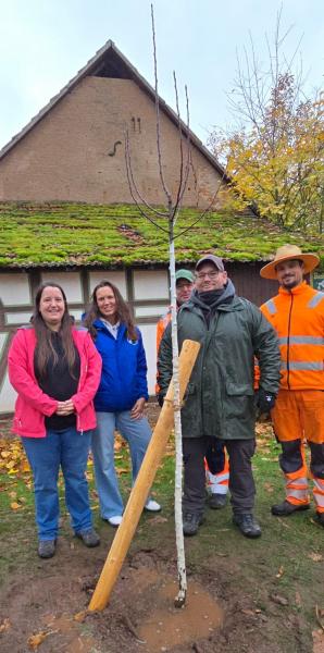 Bampflanzchallengea5c41947 0afc 4943 9ae0 444dc8a71a61