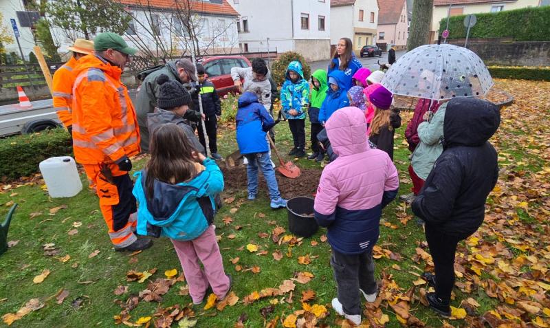 Bampflanzchallenged7fac4f4 e2d0 4c72 9e7f 84abb5f4fa71