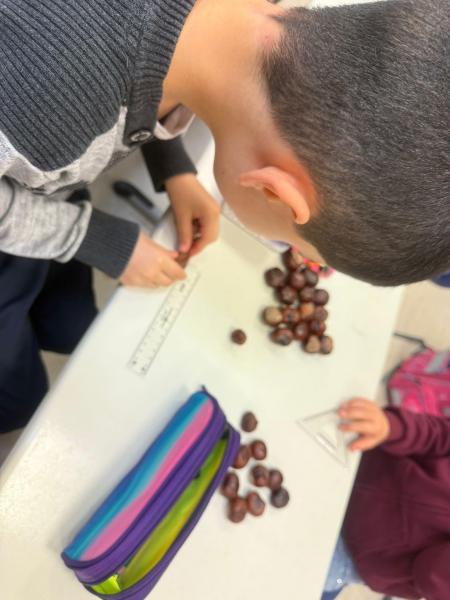 Kastanien 2a918eb9 a13c 4ec6 93a1 0e63ab90c154