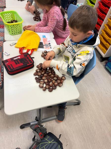 Kastanien 853b3ba2 5ed9 436d 99bb 4496ec66c329