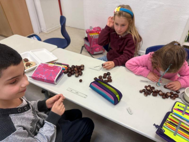 Kastanien 8a89379f 8296 4cf0 9fad 9de6959d9c1d