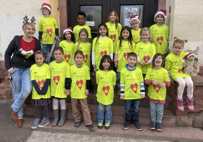 Schulshirts Schildkröten Homepage